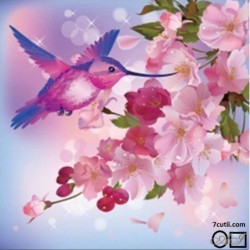 Goblen cu diamante - Colibri