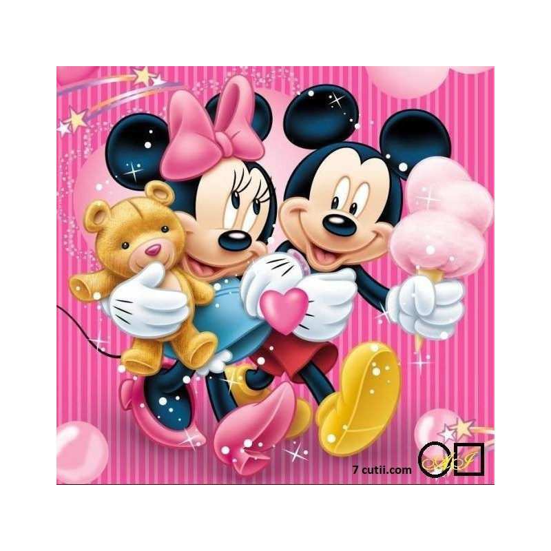 Goblen cu diamante - Mickey si Minnie Mouse