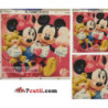 Goblen cu diamante - Mickey si Minnie Mouse