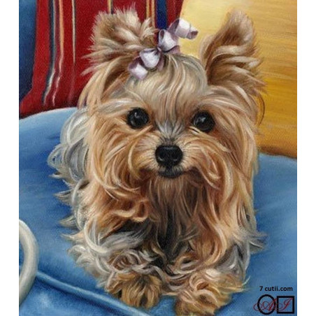 Goblen cu diamante - Catel yorkie - Lori