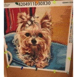 Goblen cu diamante - Catel yorkie - Lori