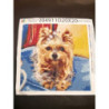 Goblen cu diamante - Catel yorkie - Lori