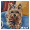 Goblen cu diamante - Catel yorkie - Lori