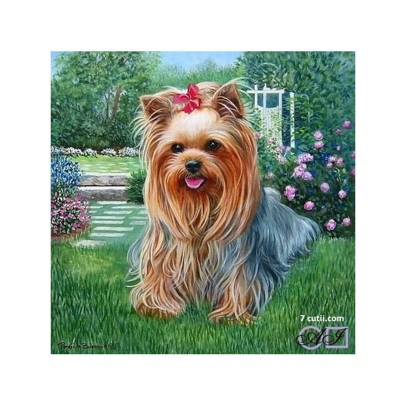 Goblen cu diamante -Catel yorkie - Archie