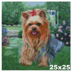 Goblen cu diamante -Catel yorkie - Archie