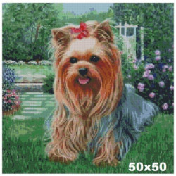 Goblen cu diamante -Catel yorkie - Archie