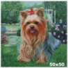 Goblen cu diamante -Catel yorkie - Archie