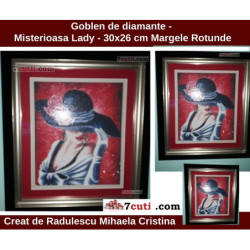 Goblen cu diamante - Misterioasa Lady