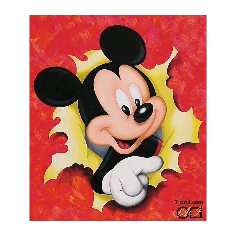 Goblen cu diamante - mickey mouse surpriza