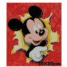 Goblen cu diamante - mickey mouse surpriza