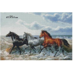 Goblen cu diamante - Galop printre valuri