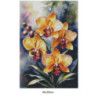 Goblen  de  diamante - Orhidee galbene