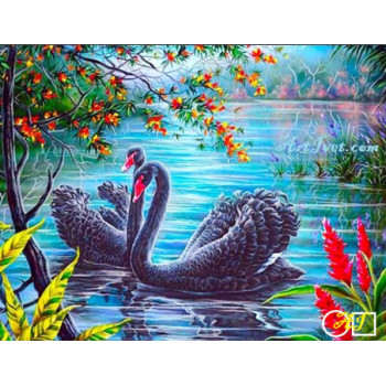 Goblen  de  diamante - Familia frumoasa a lebedelor negre